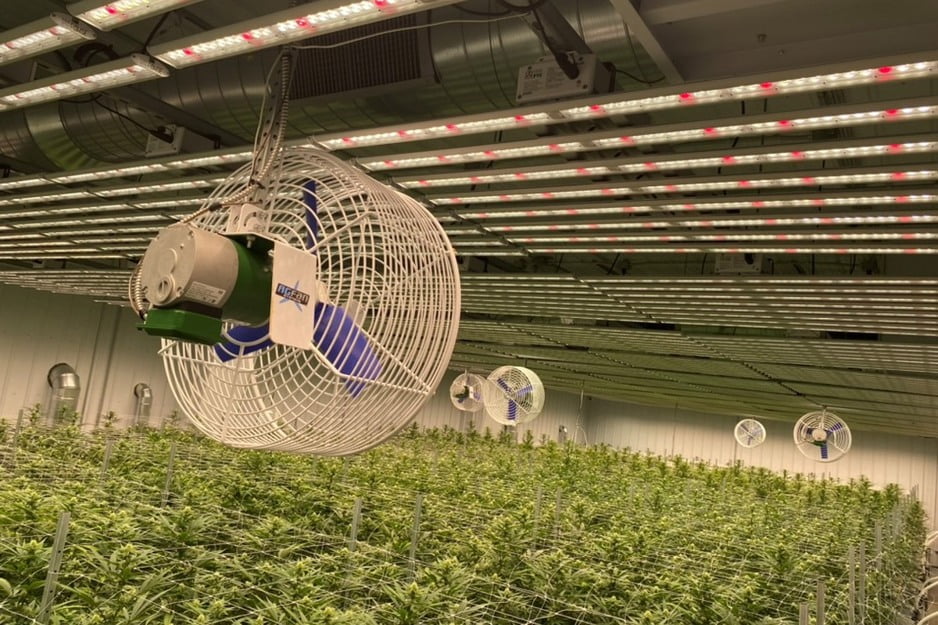 Customized airflow plans optimize conditions at every stage of crop development